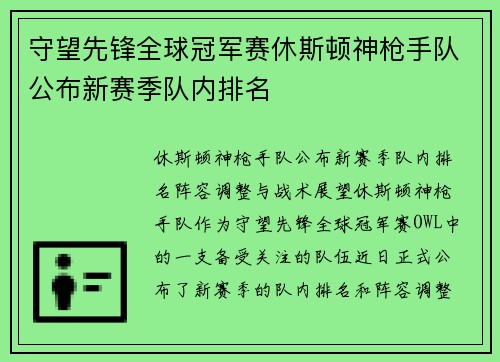 守望先锋全球冠军赛休斯顿神枪手队公布新赛季队内排名