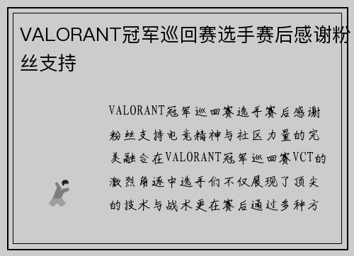 VALORANT冠军巡回赛选手赛后感谢粉丝支持